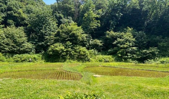 町田市の谷戸